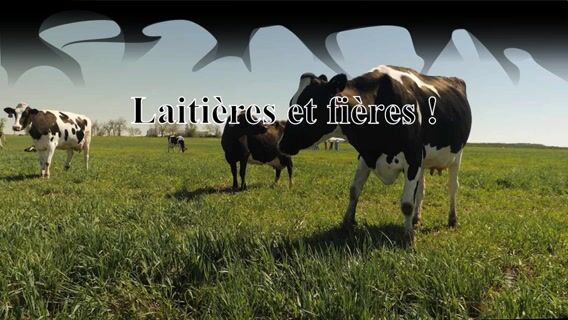 Laitières et fières
