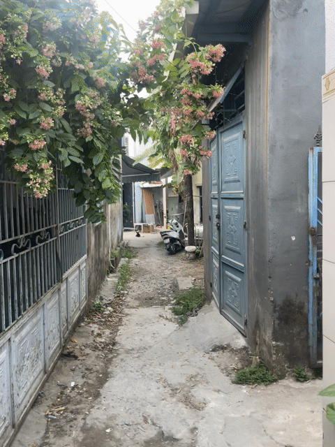 Mua bán Nhà ở Quận Liên Chiểu Đà Nẵng diện tích 50 m² giá 2,55 tỷ