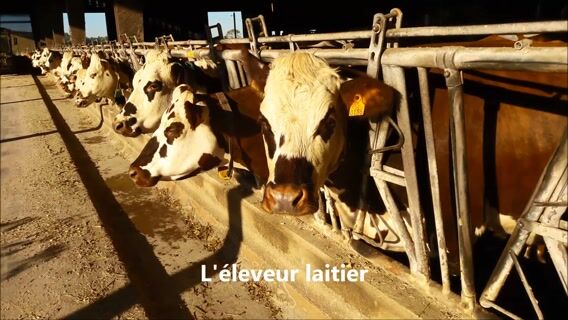 Les laitières du Perche.