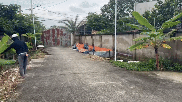 Cho thuê Văn phòng, Mặt bằng kinh doanh Huyện Nhà Bè Tp Hồ Chí Minh diện tích 2600 m² giá 100 triệu/tháng