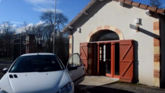 De la graine à l'arbre