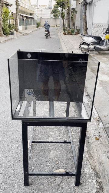 Bể cá Kính trong suốt 60x45x45 lọc vách lưng MỚI. Mua bán Phụ kiện, Thức ăn, Dịch vụ tại Quận Bình Tân Tp Hồ Chí Minh được đăng bởi Đinh Đức  hình 1