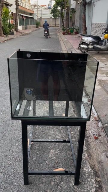 Bể cá Kính trong suốt 60x45x45 lọc vách lưng MỚI. Mua bán Phụ kiện, Thức ăn, Dịch vụ tại Quận Bình Tân Tp Hồ Chí Minh được đăng bởi Đinh Đức  hình 1