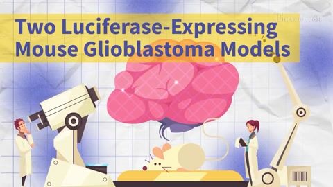 Do You Know the Two Luciferase-Expressing Mouse Glioblastoma Models?