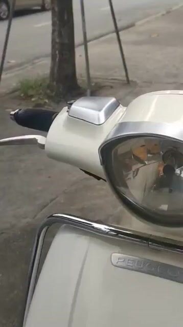 Peugeot Django 2017 Đỏ trắng. Mua bán Xe máy tại Thành phố Dĩ An Bình Dương được đăng bởi Cửa hàng xe máy Anh Khoa  hình 1