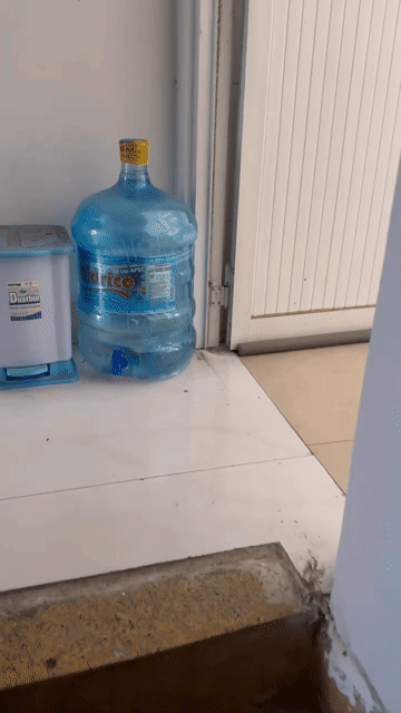 Cho thuê Phòng trọ Quận 3 Tp Hồ Chí Minh diện tích 16 m² giá 2,8 triệu/tháng