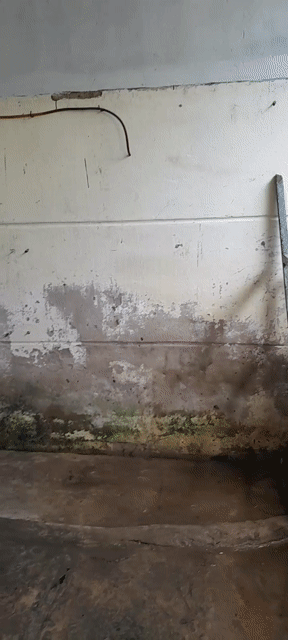 Mua bán Nhà ở Thành phố Mỹ Tho Tiền Giang diện tích 51 m² giá 600 triệu