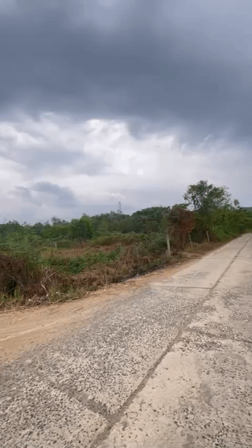 Mua bán Đất Huyện Đạ Huoai Lâm Đồng diện tích 965 m² giá 2,7 tỷ