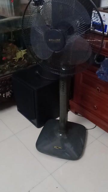 Quạt cây Vinawin chính hãng của VN  Xanh rêu. Mua bán Quạt tại Quận Hà Đông Hà Nội được đăng bởi Tên chưa cung cấp hình 1