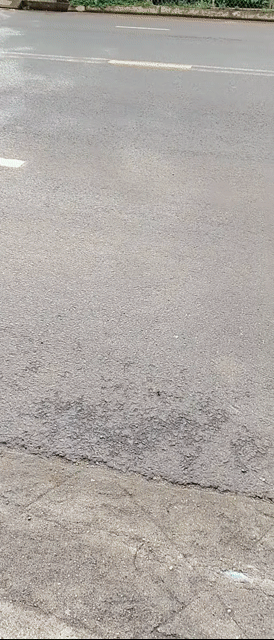 Cho thuê Nhà ở Thành phố Buôn Ma Thuột Đắk Lắk diện tích 75 m² giá 4,5 triệu/tháng