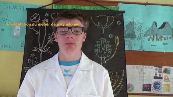 Dans la peau d'un palynologue