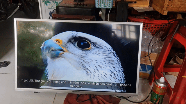 Tivi Skyworth 32 inch Thái Lan. Mua bán Tivi, Âm thanh tại Thành phố Thủ Đức Tp Hồ Chí Minh được đăng bởi Điện Tử Lê Hoà  hình 1
