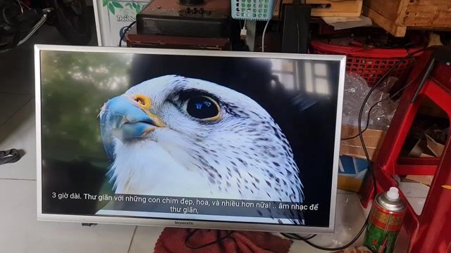 Tivi Skyworth 32 inch Thái Lan. Mua bán Tivi, Âm thanh tại Thành phố Thủ Đức Tp Hồ Chí Minh được đăng bởi Điện Tử Lê Hoà  hình 1