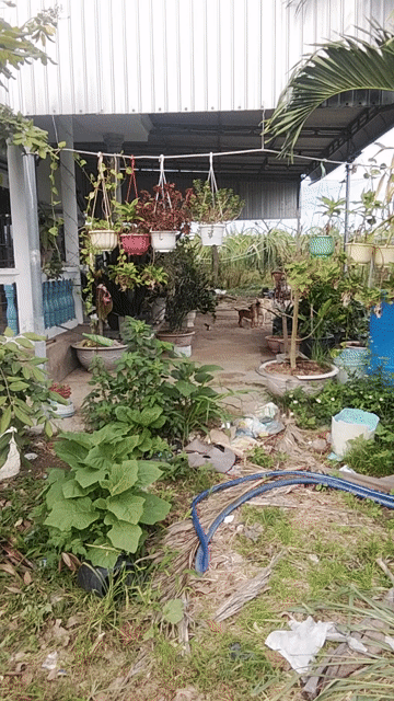 Mua bán Đất Hàm Kiệm city Huyện Hàm Thuận Nam Bình Thuận diện tích 4200 m² giá 3 tỷ