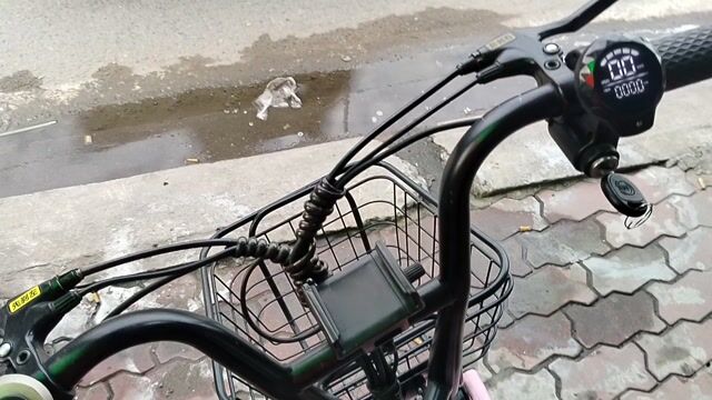 Xe đạp điện Lihaze Hồng 48V-12Ah. Mua bán Xe điện tại Huyện Bình Chánh Tp Hồ Chí Minh được đăng bởi Nguyễn Thạnh hình 1