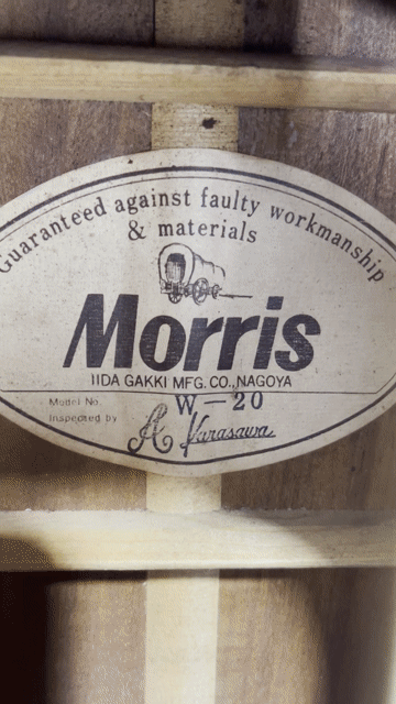Đàn guitar acoustic Morris W20 đã qua sử dụng. Mua bán Nhạc cụ tại Quận Tân Phú Tp Hồ Chí Minh được đăng bởi Phạm Duy Thưởng hình 1