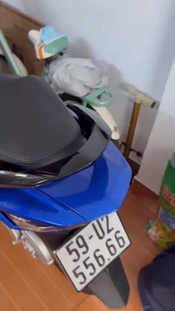 Honda Wave 125i Thái Lan Xanh 1600 km. Mua bán Xe máy tại Quận Bình Tân Tp Hồ Chí Minh được đăng bởi luu quoc hao  hình 1