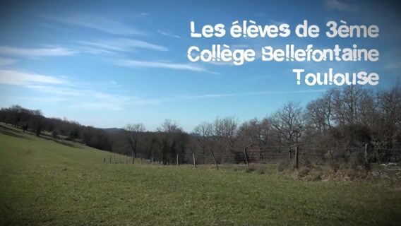 Tout doux or not tout doux