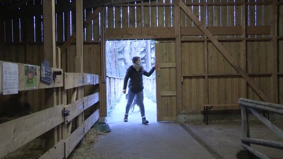 Animateur en Ferme Pédagogique