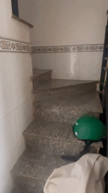 Cho thuê Văn phòng, Mặt bằng kinh doanh Quận 7 Tp Hồ Chí Minh diện tích 20 m² giá 7 triệu/tháng