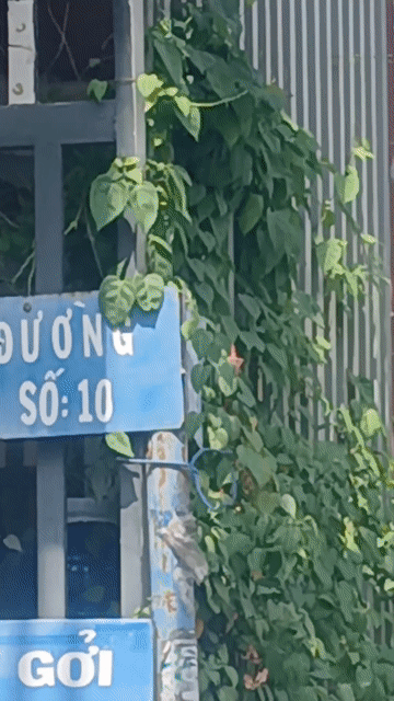 Mua bán Nhà ở Quận Bình Tân Tp Hồ Chí Minh diện tích 56 m² giá 5,3 tỷ