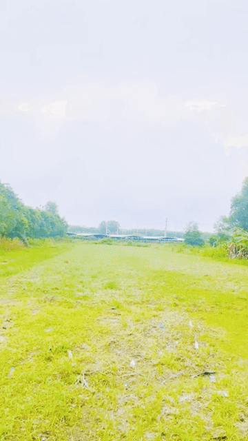 Mua bán Đất Huyện Củ Chi Tp Hồ Chí Minh diện tích 5000 m² giá 6,8 tỷ
