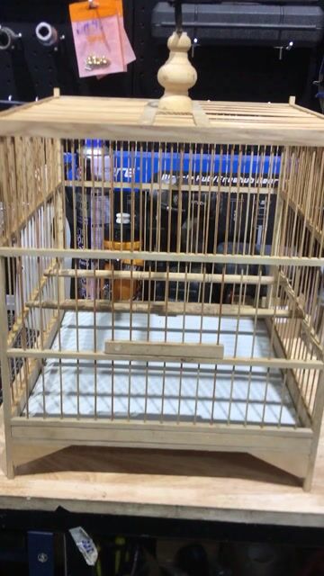 Lồng vuông chào màu. Mua bán Phụ kiện, Thức ăn, Dịch vụ tại Quận Ninh Kiều Cần Thơ được đăng bởi luân pham hình 1