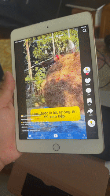 Apple iPad mini 4 128GB Vàng. Mua bán Máy tính bảng tại Thành phố Vũng Tàu Bà Rịa - Vũng Tàu được đăng bởi vương lâm hình 1