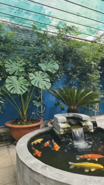 Mua bán Nhà ở Huyện Hóc Môn Tp Hồ Chí Minh diện tích 140 m² giá 3,75 tỷ