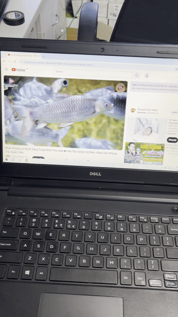 Dell Laptop Đen. Mua bán Laptop tại Thành phố Biên Hòa Đồng Nai được đăng bởi Dinh Luân hình 1