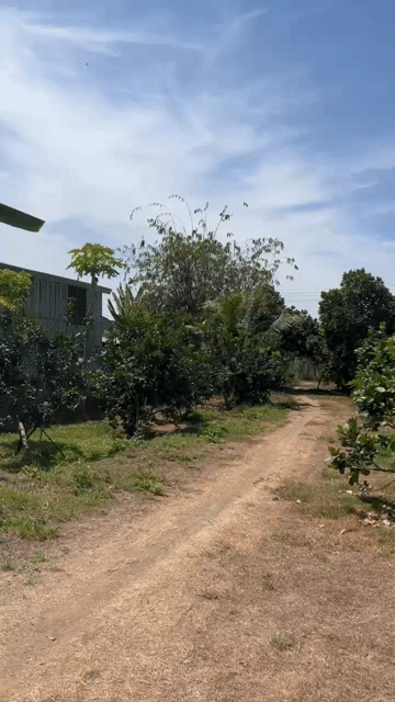 Mua bán Đất Huyện Vĩnh Cửu Đồng Nai diện tích 3000 m² giá 14 tỷ