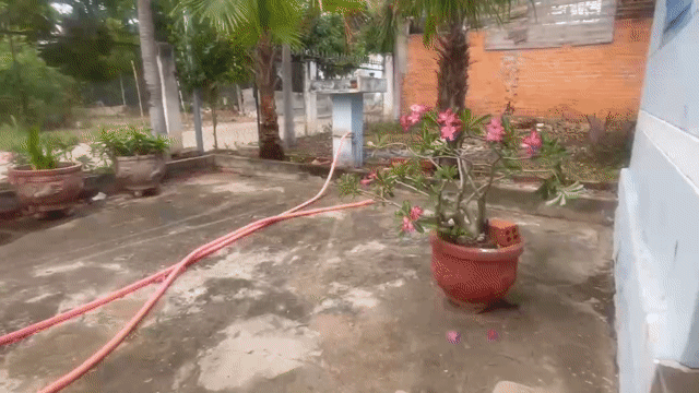 Cho thuê Nhà ở Thành phố Phan Rang-Tháp Chàm Ninh Thuận diện tích 1000 m² giá 2 triệu/tháng