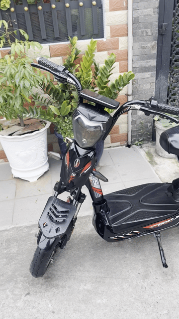 DOTYPANA 350/10 M133 MỚI 100%. Mua bán Xe đạp tại Quận Phú Nhuận Tp Hồ Chí Minh được đăng bởi MUAXEĐIỆNGIÁCAO hình 1