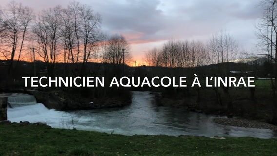 Le métier de technicien aquacole à l'INRAE de St Pée sur Nivelle