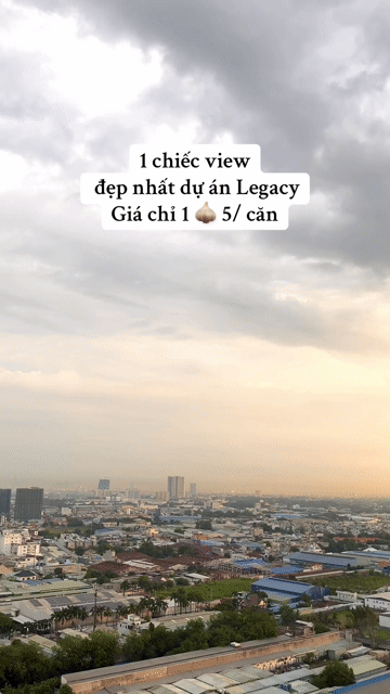 Cho thuê Căn hộ Chung cư Legacy Central Thành phố Thuận An Bình Dương diện tích 60 m² giá 5 triệu/tháng