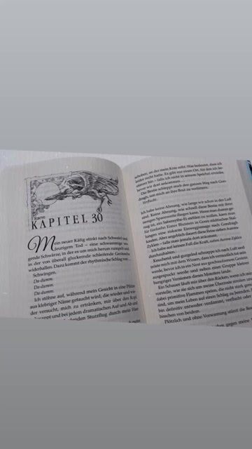 Aktuell das schönste illustrierte Buch in meiner Sammlung👀🙈