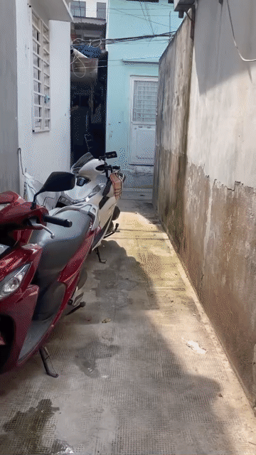 Cho thuê Nhà ở Quận Tân Phú Tp Hồ Chí Minh diện tích 26 m² giá 5 triệu/tháng