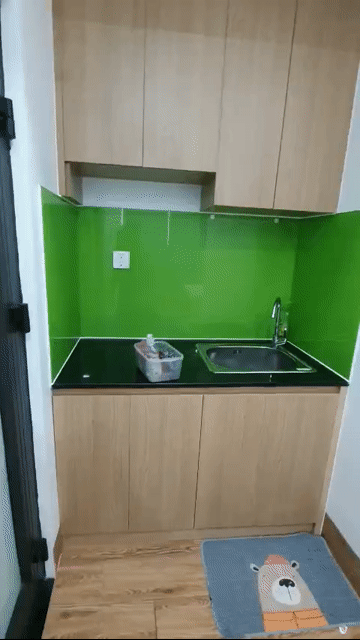 Cho thuê Căn hộ Chung cư Khu dân cư Cityland Park Hills Quận Gò Vấp Tp Hồ Chí Minh diện tích 30 m² giá 5,5 triệu/tháng