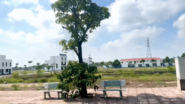 Mua bán Đất Thị xã Tân Uyên Bình Dương diện tích 80 m² giá 890 triệu