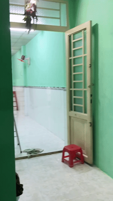 Cho thuê Nhà ở Quận 7 Tp Hồ Chí Minh diện tích 30 m² giá 4,3 triệu/tháng