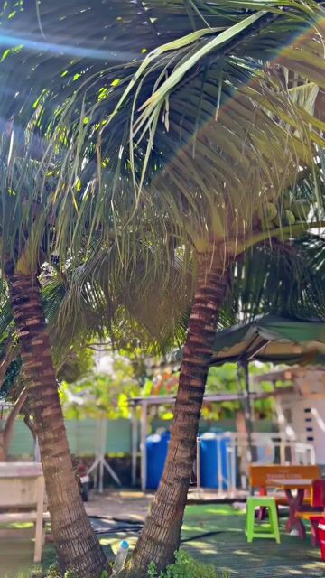 Lead 125i 2val bản cao cấp biển đẹp 66696 + ohlin. Mua bán Xe máy tại Huyện Hóc Môn Tp Hồ Chí Minh được đăng bởi Thanh Phong 1990 hình 1