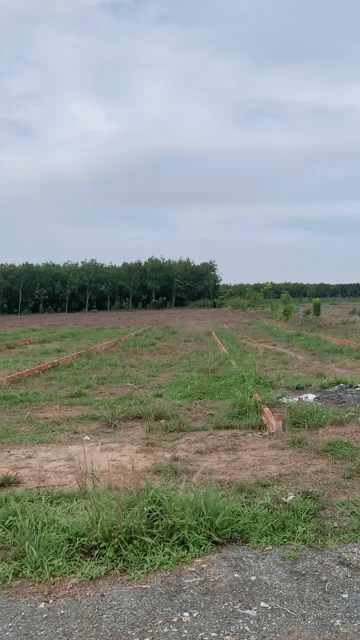 Mua bán Đất Huyện Chơn Thành Bình Phước diện tích 250 m² giá 600 triệu
