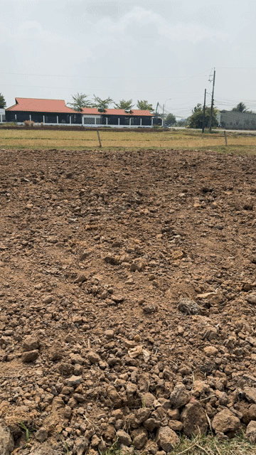Mua bán Đất Huyện Đức Hòa Long An diện tích 100 m² giá 750 triệu