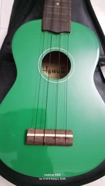 Đàn Ukulele Hawaii Xanh lá. Mua bán Nhạc cụ tại Quận 8 Tp Hồ Chí Minh được đăng bởi Tân hình 1