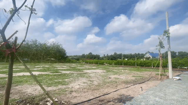 Mua bán Đất Huyện Chơn Thành Bình Phước diện tích 150 m² giá 570 triệu