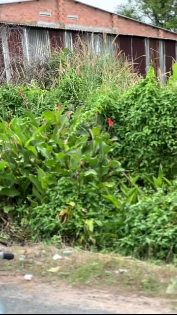 Bán xe Wave 110 Dọn Mới. Mua bán Xe máy tại Huyện Hòa Thành Tây Ninh được đăng bởi Nguyễn Nhớ Tây Ninh hình 1