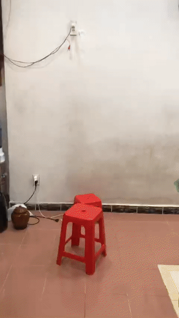 Mua bán Căn hộ Chung cư Chung cư Ngô Quyền, Q5 Quận 5 Tp Hồ Chí Minh diện tích 39 m² giá 1,85 tỷ