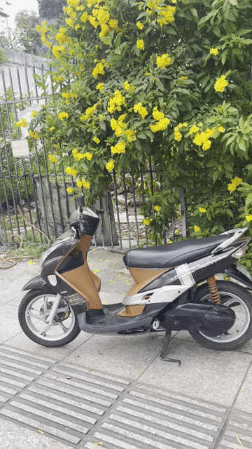 Yamaha Yo bụng bự 2011 Đen Nâu. Mua bán Xe máy tại Quận Tân Phú Tp Hồ Chí Minh được đăng bởi Xe Máy Lâm 290 hình 1
