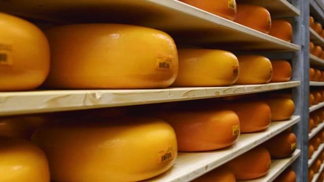 Marieke Gouda- Wisconsin Cheese, Farm, Store, and Cafe in Marieke Gouda- Wisconsin Cheese, Farm, Store, and Cafe in