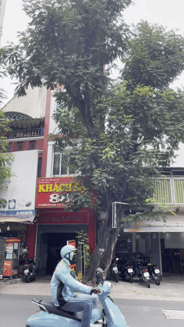 Cho thuê Nhà ở Quận 10 Tp Hồ Chí Minh diện tích 100 m² giá 45 triệu/tháng